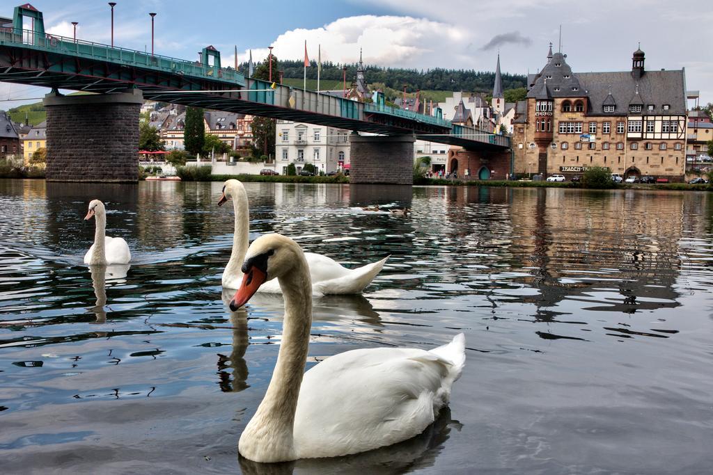 Zimmer Am Markt Traben-Trarbach Dış mekan fotoğraf